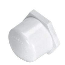 40mm White Endcap